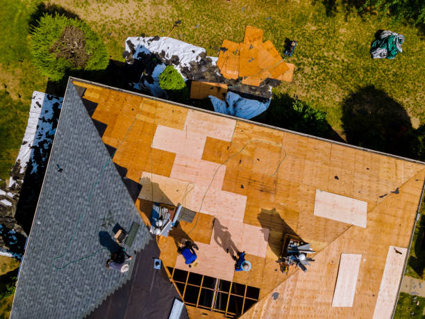 Best Roof Gutter Cleaning  in North Madison, OH