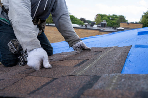 Best Roof Waterproofing Services  in North Madison, OH